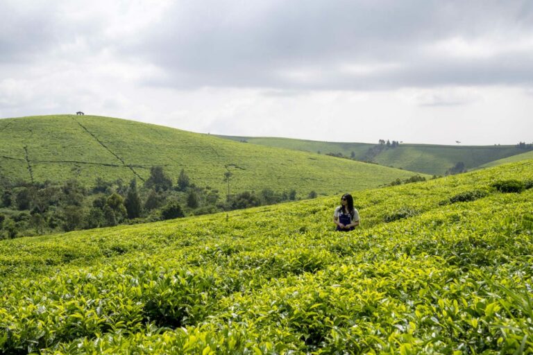 5-reasons-you-must-visit-burundi,-a-unique-country-in-africa